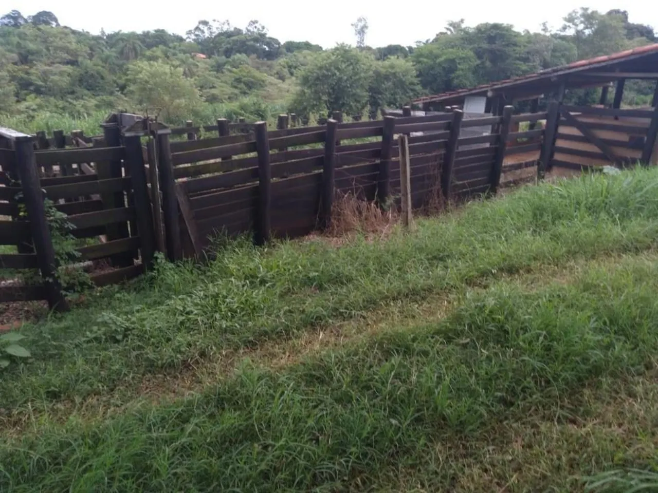 Fazenda à venda de 10 ha em Tatuí, SP, Brasil