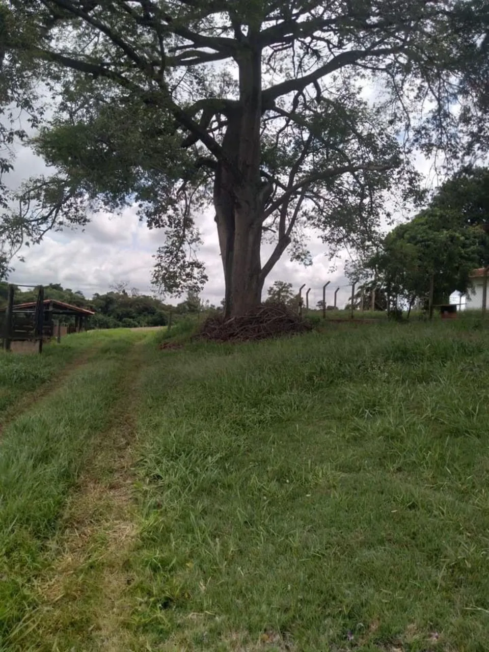 Fazenda à venda de 10 ha em Tatuí, SP, Brasil