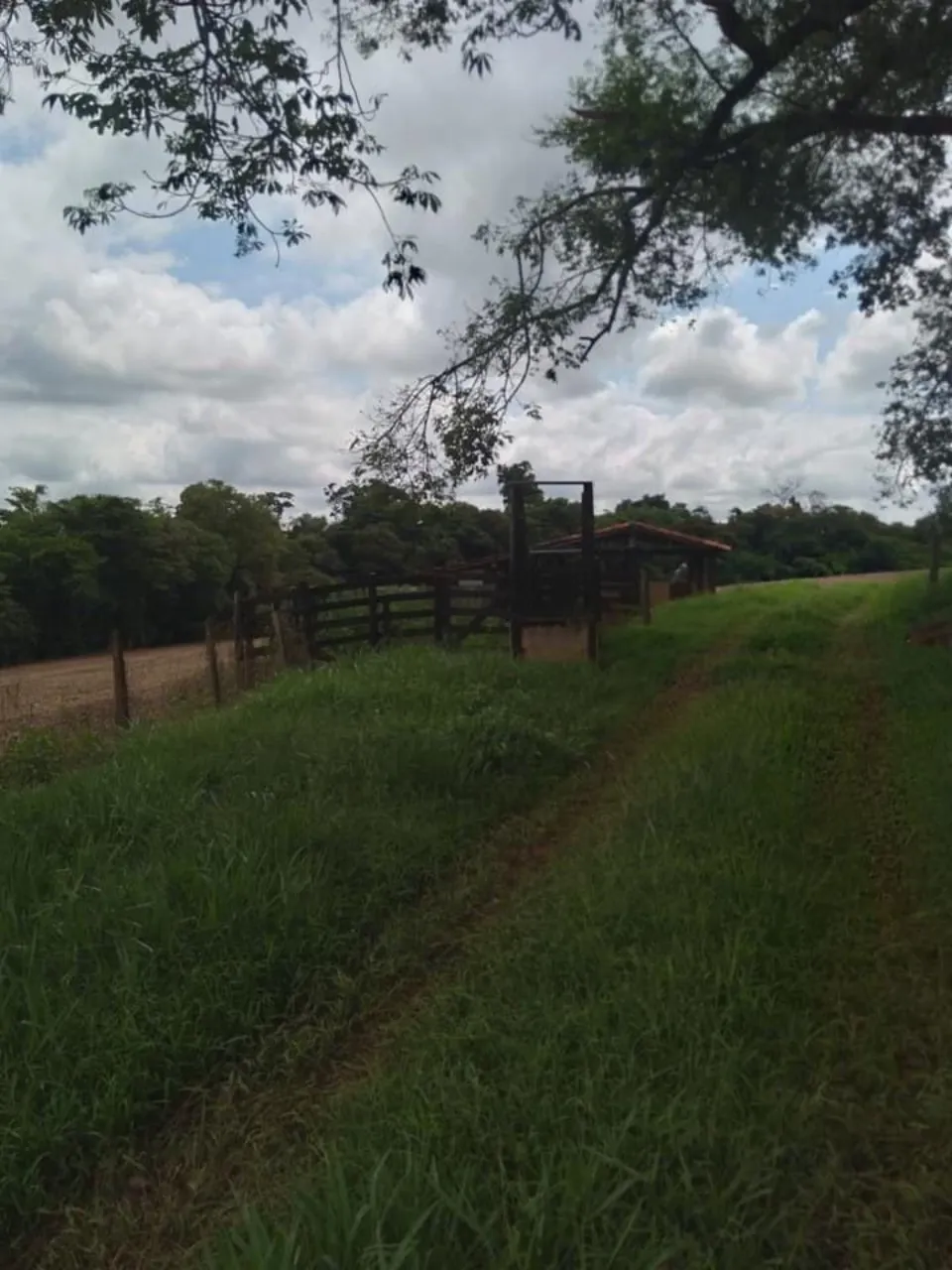 Fazenda à venda de 10 ha em Tatuí, SP, Brasil