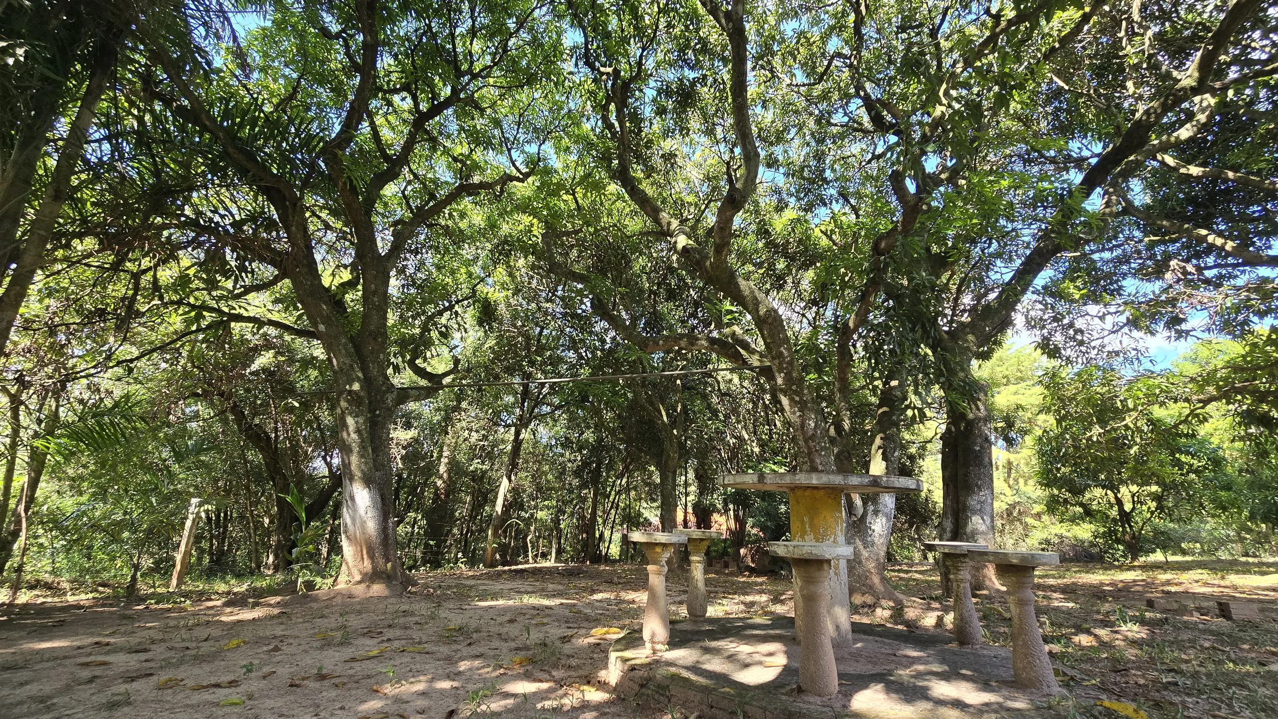 Chácara à venda de 7.800 m² em Siqueira Campos, PR, Brasil
