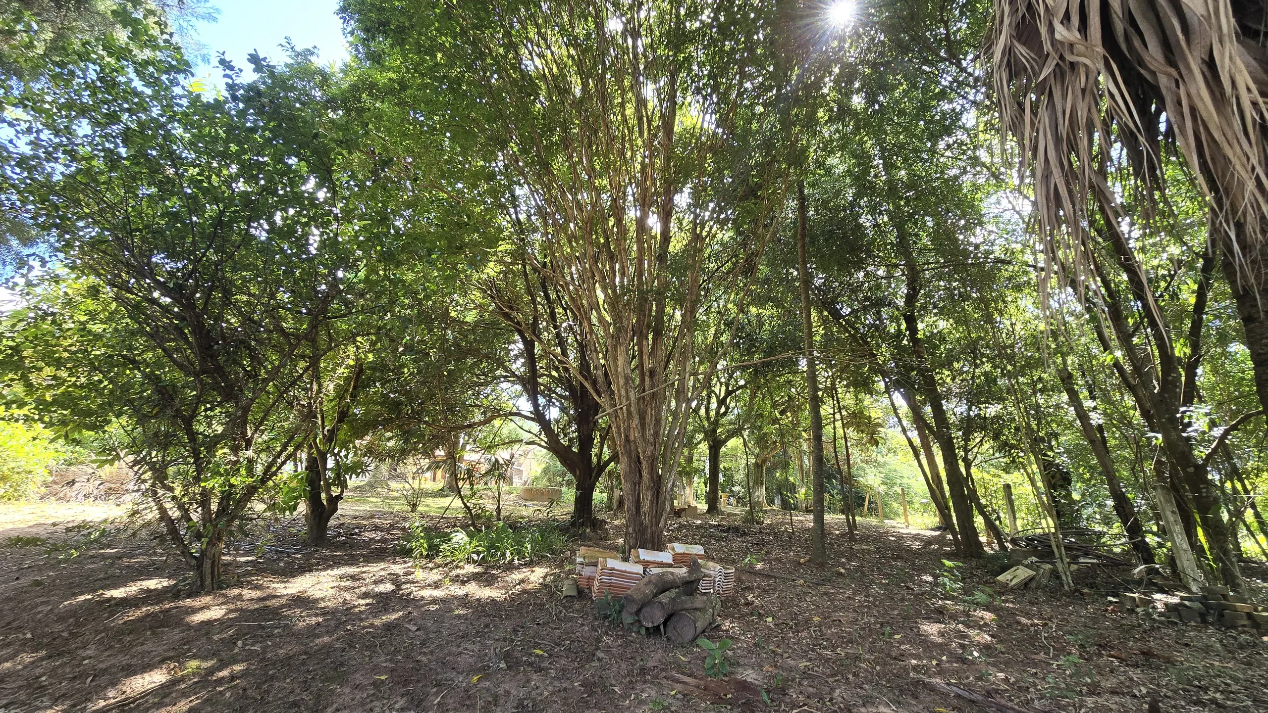 Chácara à venda de 7.800 m² em Siqueira Campos, PR, Brasil