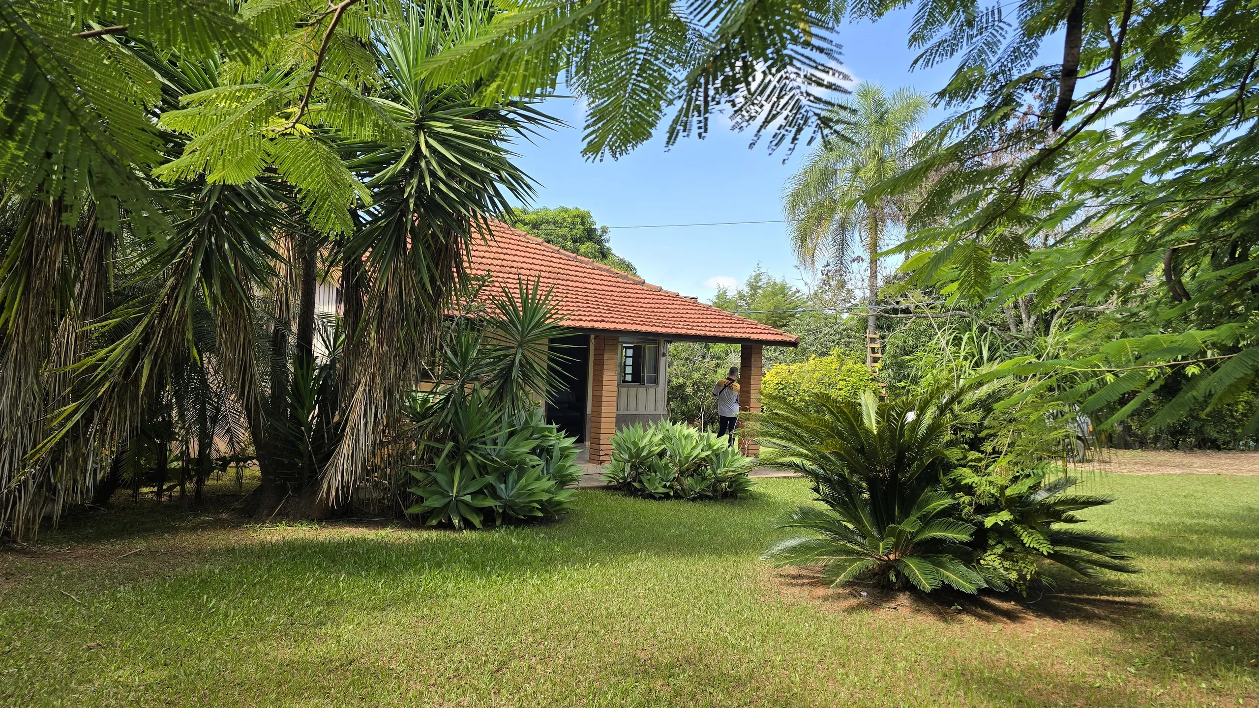 Chácara à venda de 7.800 m² em Siqueira Campos, PR, Brasil