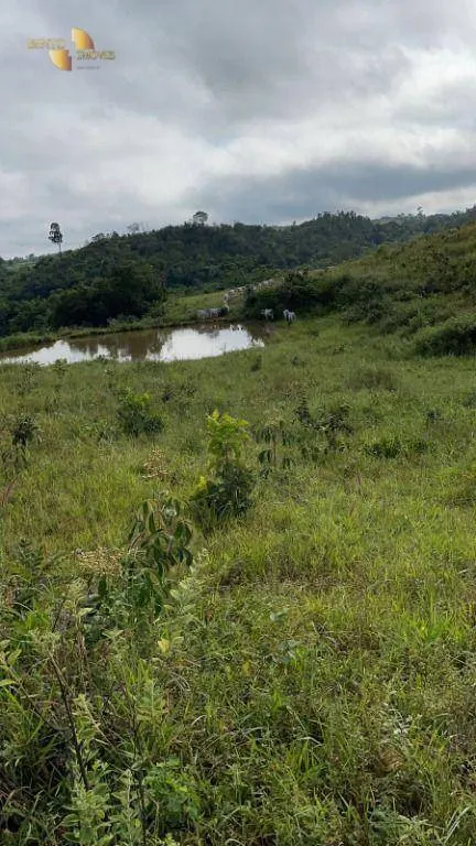 Fazenda à venda de 1.160 ha em Primavera do Leste, MT, Brasil