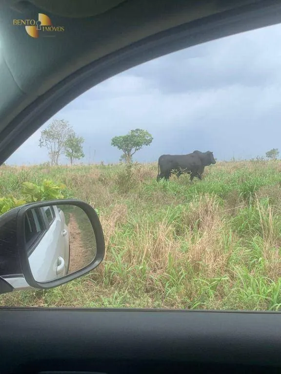 Fazenda à venda de 1.160 ha em Primavera do Leste, MT, Brasil
