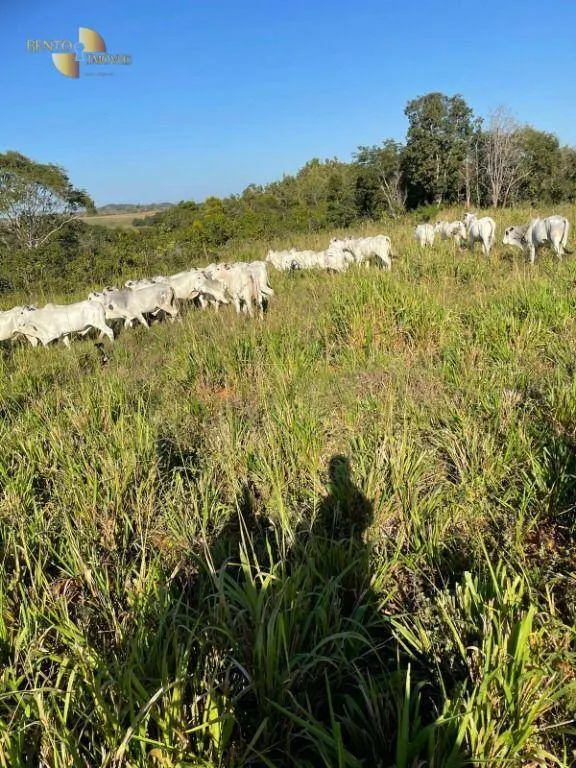 Fazenda à venda de 1.160 ha em Primavera do Leste, MT, Brasil