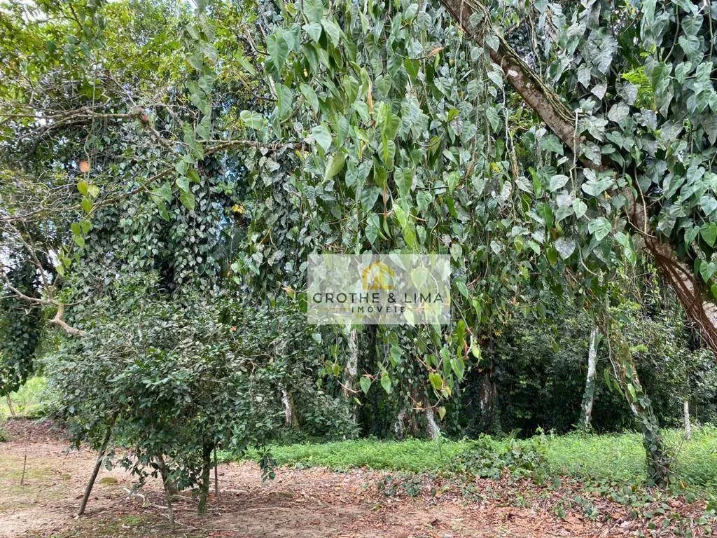 Sítio à venda de 36 ha em Ubatuba, SP, Brasil