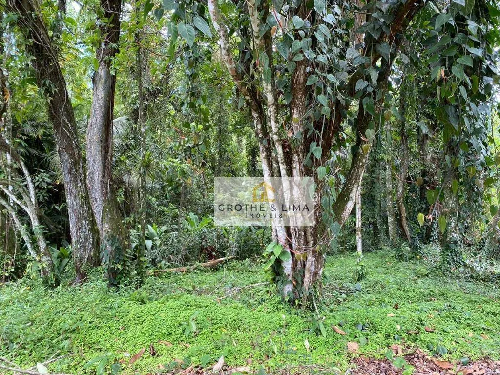 Sítio à venda de 36 ha em Ubatuba, SP, Brasil