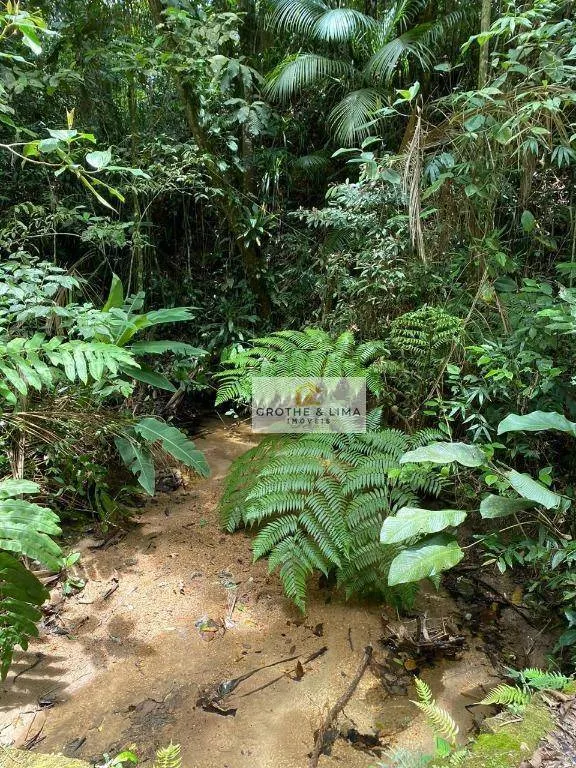 Sítio à venda de 36 ha em Ubatuba, SP, Brasil