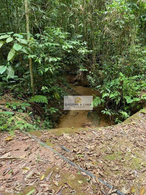 Sítio à venda de 36 ha em Ubatuba, SP, Brasil