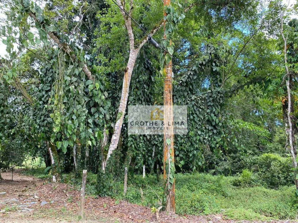 Sítio à venda de 36 ha em Ubatuba, SP, Brasil