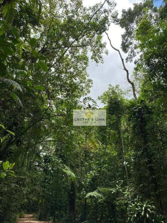 Sítio à venda de 36 ha em Ubatuba, SP, Brasil