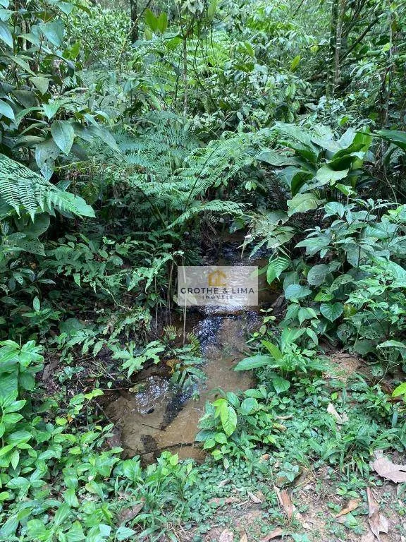 Sítio à venda de 36 ha em Ubatuba, SP, Brasil