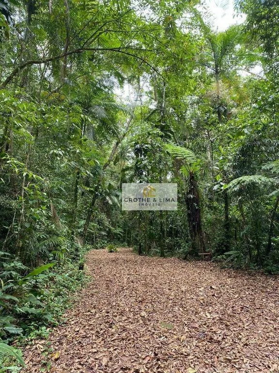 Sítio à venda de 36 ha em Ubatuba, SP, Brasil