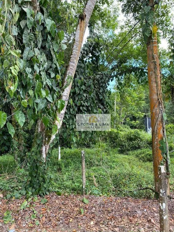 Sítio à venda de 36 ha em Ubatuba, SP, Brasil