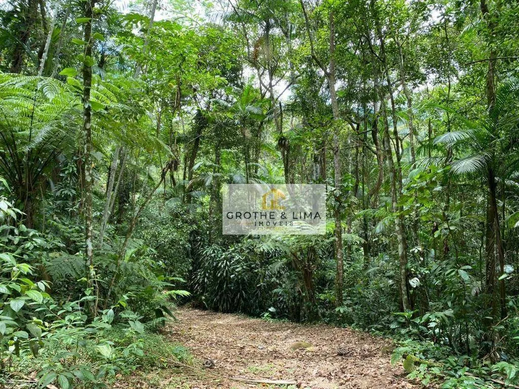 Sítio à venda de 36 ha em Ubatuba, SP, Brasil