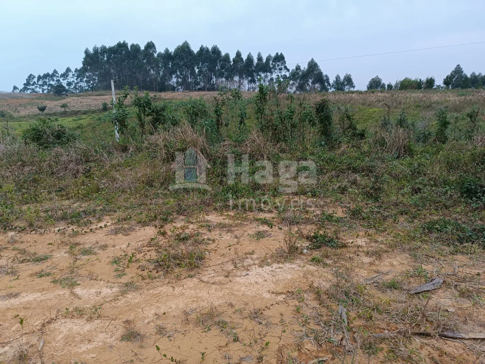 Farm for sale of 23 acres in Botuverá, SC, Brazil