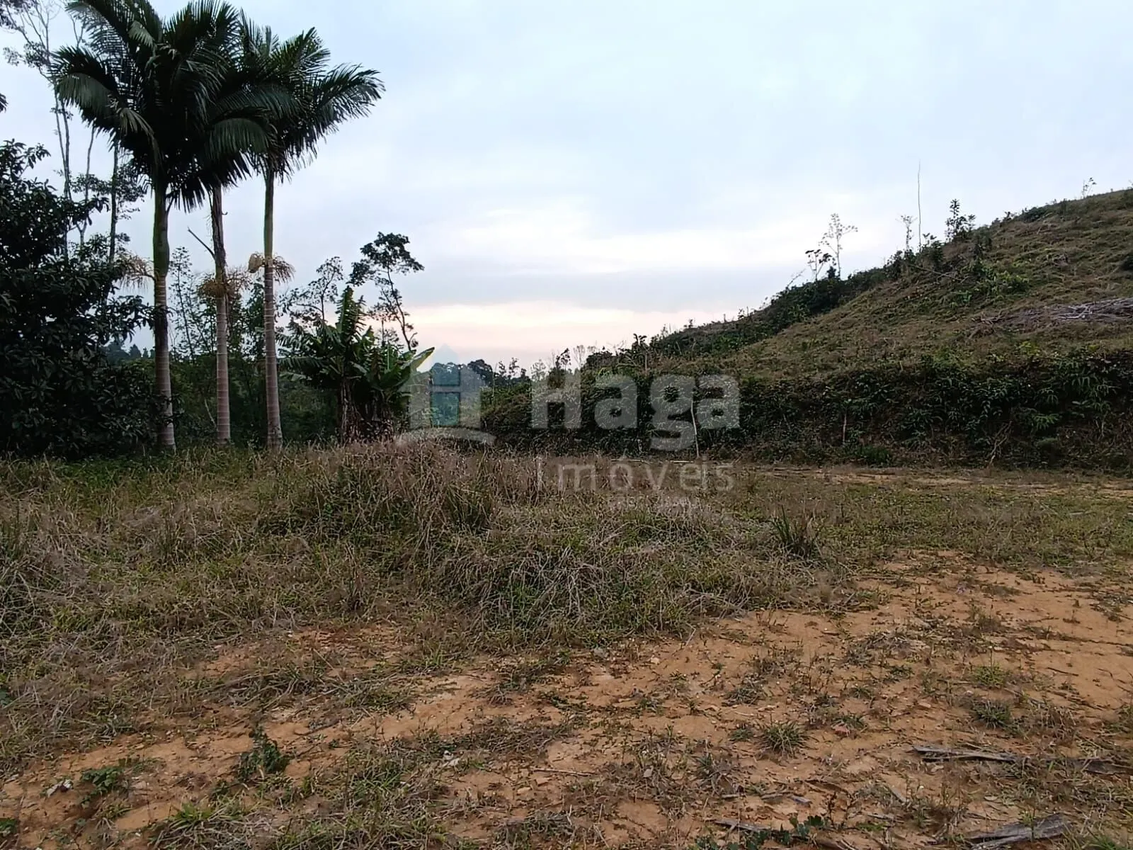 Farm for sale of 23 acres in Botuverá, SC, Brazil