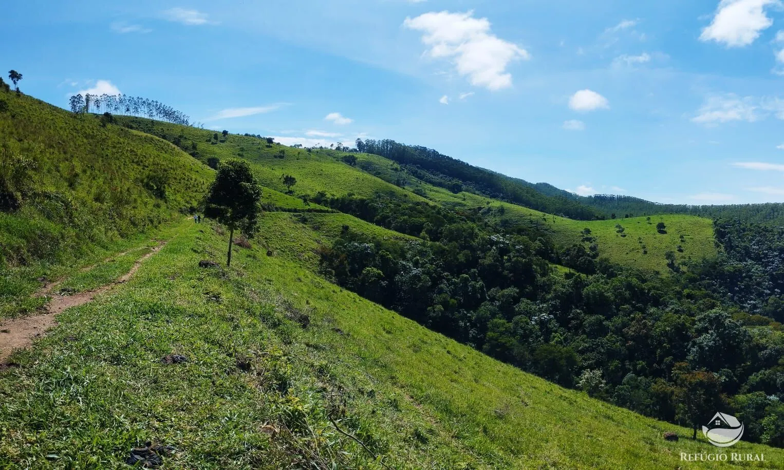 Sítio à venda de 29 ha em Igaratá, SP, Brasil