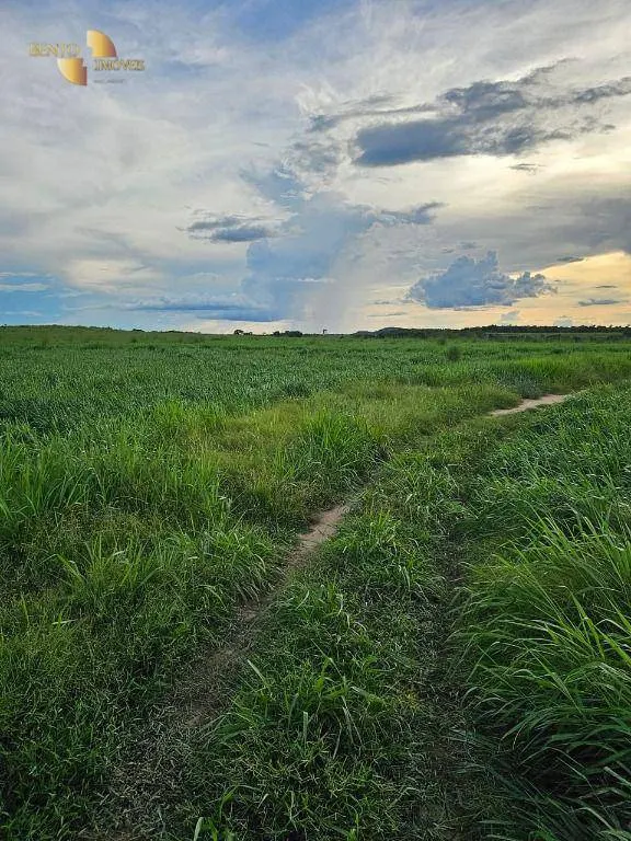 Fazenda à venda de 3.000 ha em Rosário Oeste, MT, Brasil