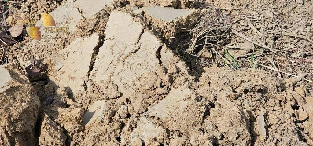 Fazenda à venda de 3.000 ha em Rosário Oeste, MT, Brasil
