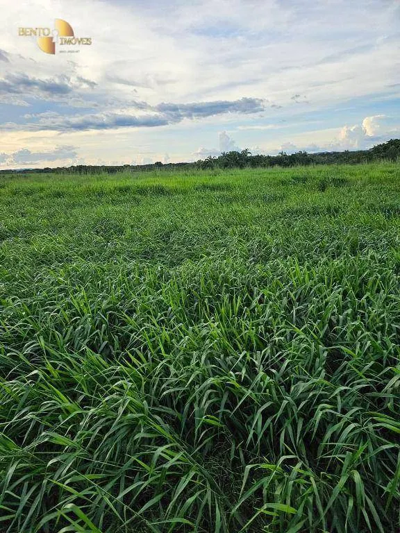 Fazenda à venda de 3.000 ha em Rosário Oeste, MT, Brasil