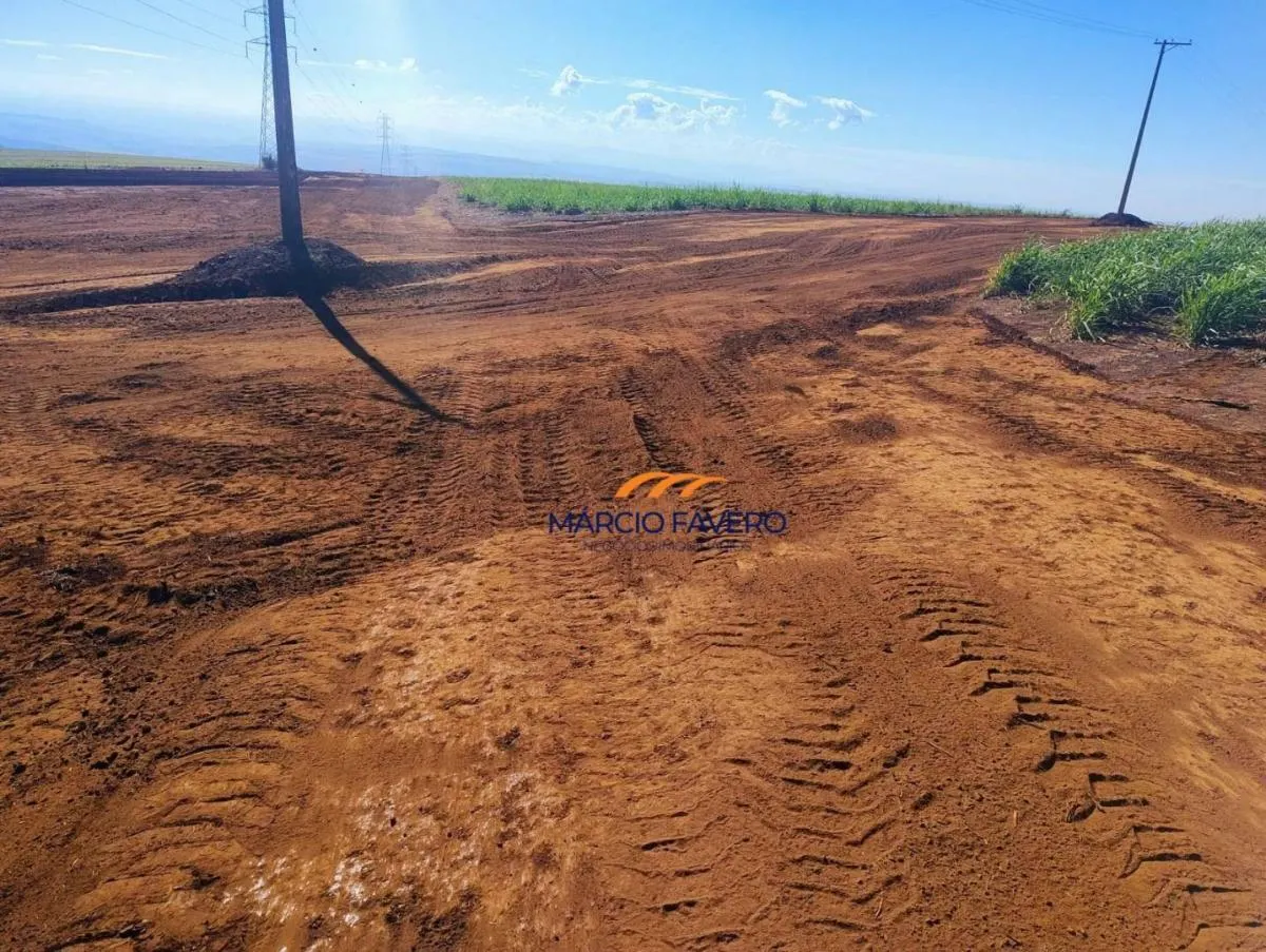 Fazenda à venda de 298 ha em São Simão, SP, Brasil