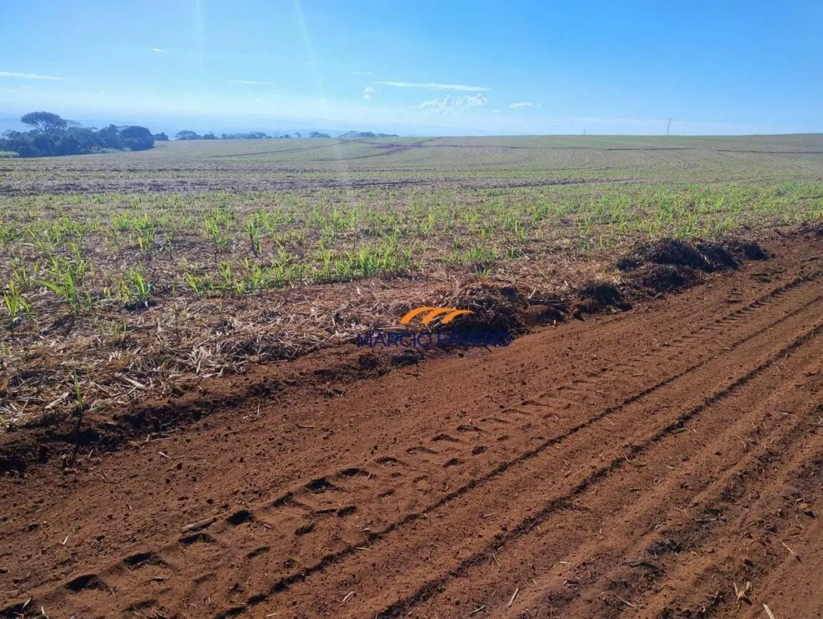 Fazenda à venda de 298 ha em São Simão, SP, Brasil