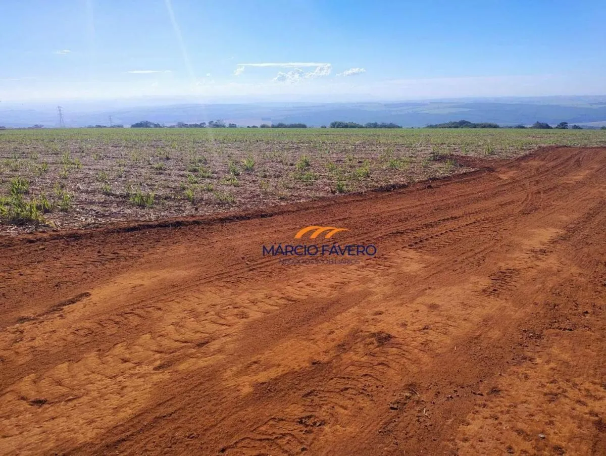 Fazenda à venda de 298 ha em São Simão, SP, Brasil