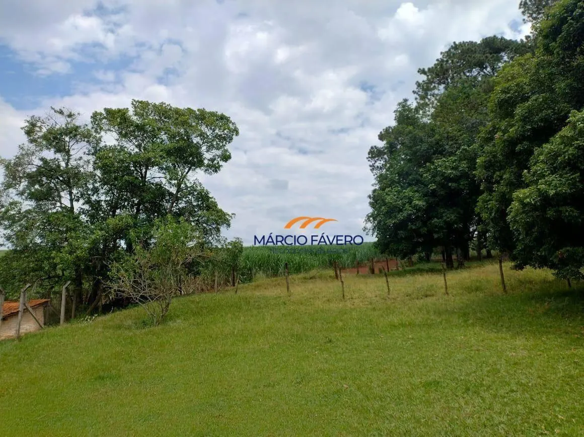 Fazenda à venda de 298 ha em São Simão, SP, Brasil
