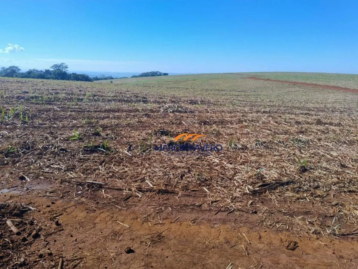 Fazenda à venda de 298 ha em São Simão, SP, Brasil