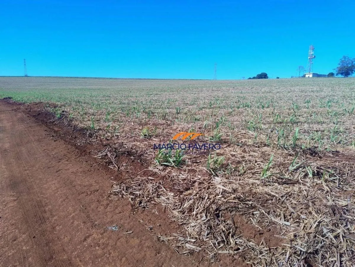 Fazenda à venda de 298 ha em São Simão, SP, Brasil