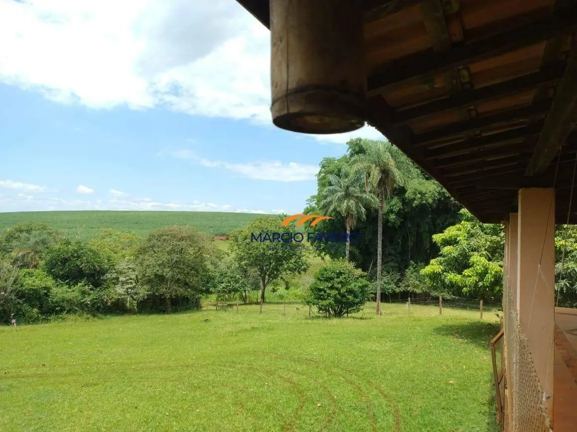 Fazenda à venda de 298 ha em São Simão, SP, Brasil