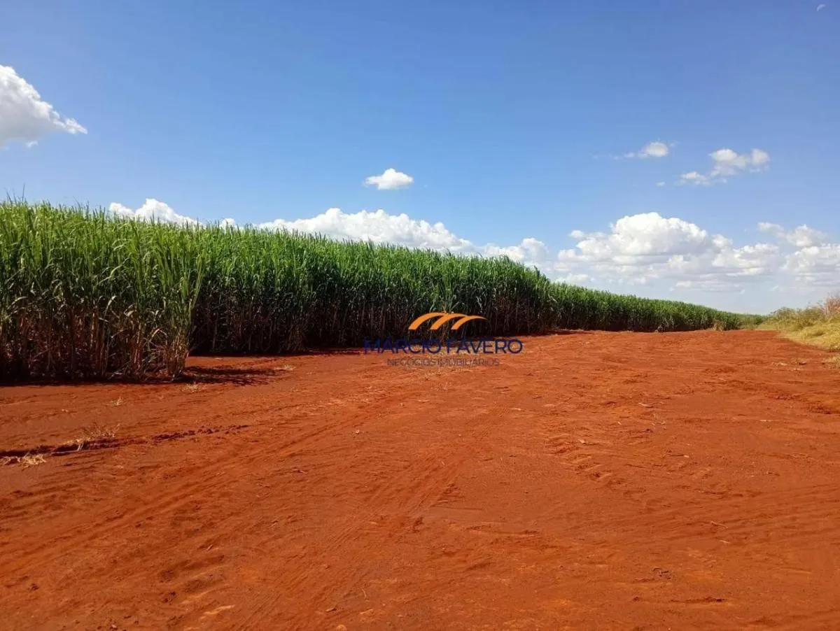 Fazenda à venda de 298 ha em São Simão, SP, Brasil