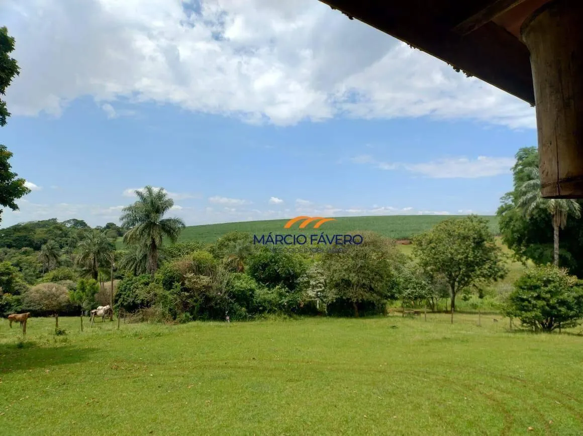 Fazenda à venda de 298 ha em São Simão, SP, Brasil