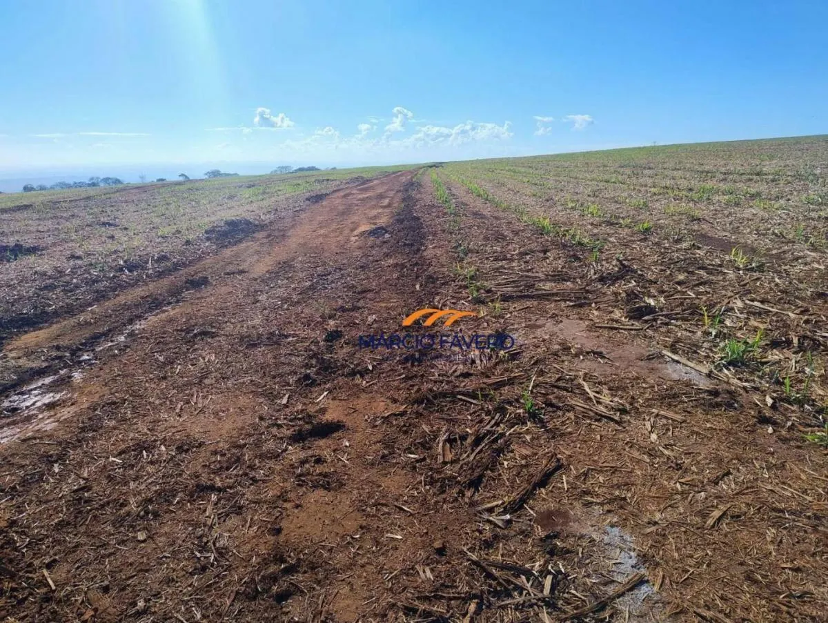 Fazenda à venda de 298 ha em São Simão, SP, Brasil