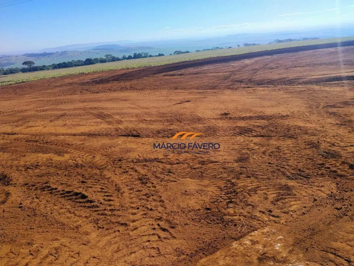 Fazenda à venda de 298 ha em São Simão, SP, Brasil