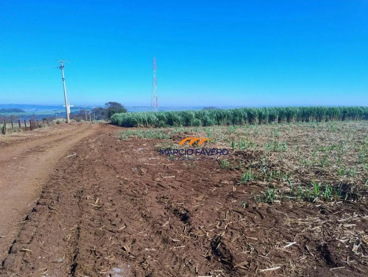 Fazenda à venda de 298 ha em São Simão, SP, Brasil