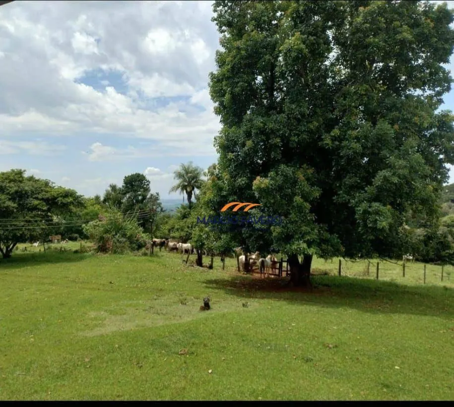 Fazenda à venda de 298 ha em São Simão, SP, Brasil