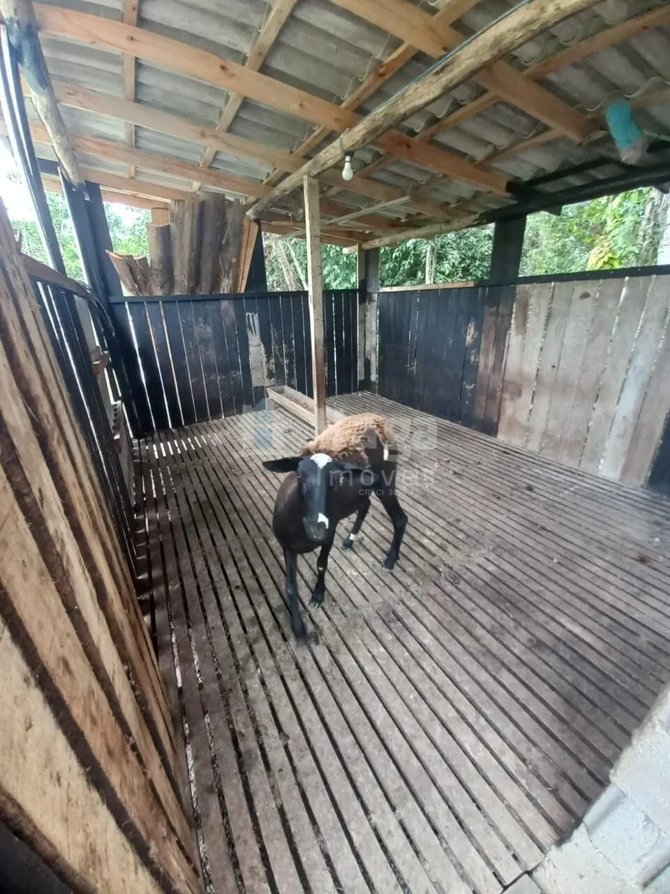 Farm for sale of 2 acres in Major Gercino, SC, Brazil