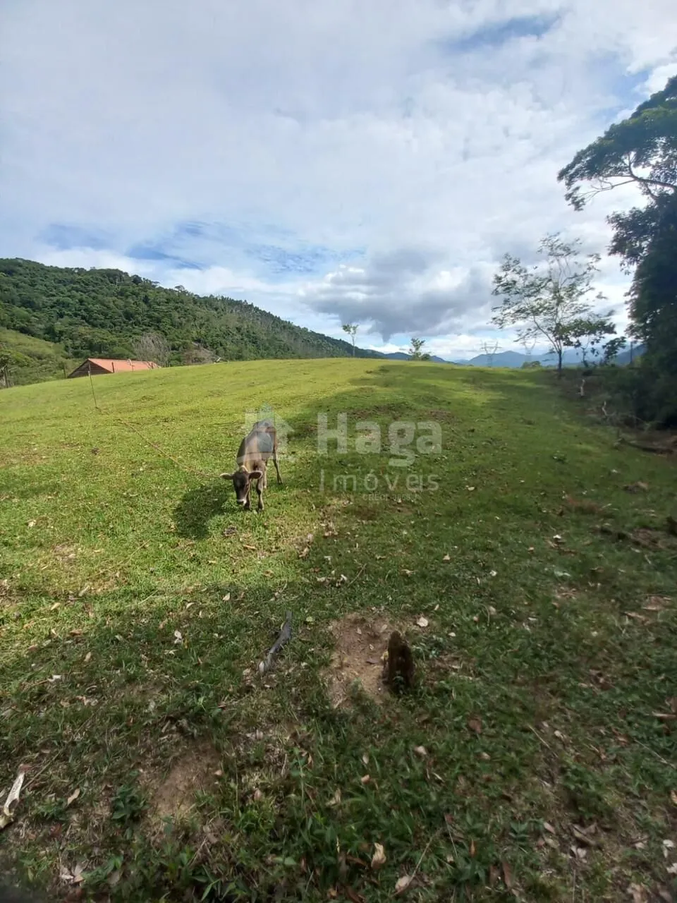 Farm for sale of 2 acres in Major Gercino, SC, Brazil