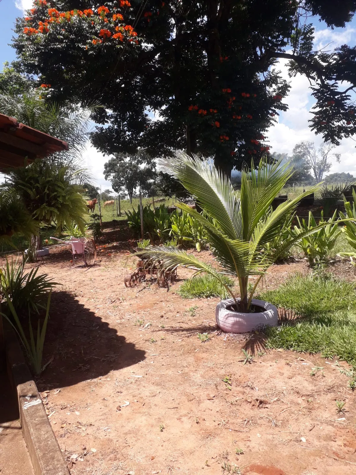 Sítio à venda de 3 ha em Uberlândia, MG, Brasil