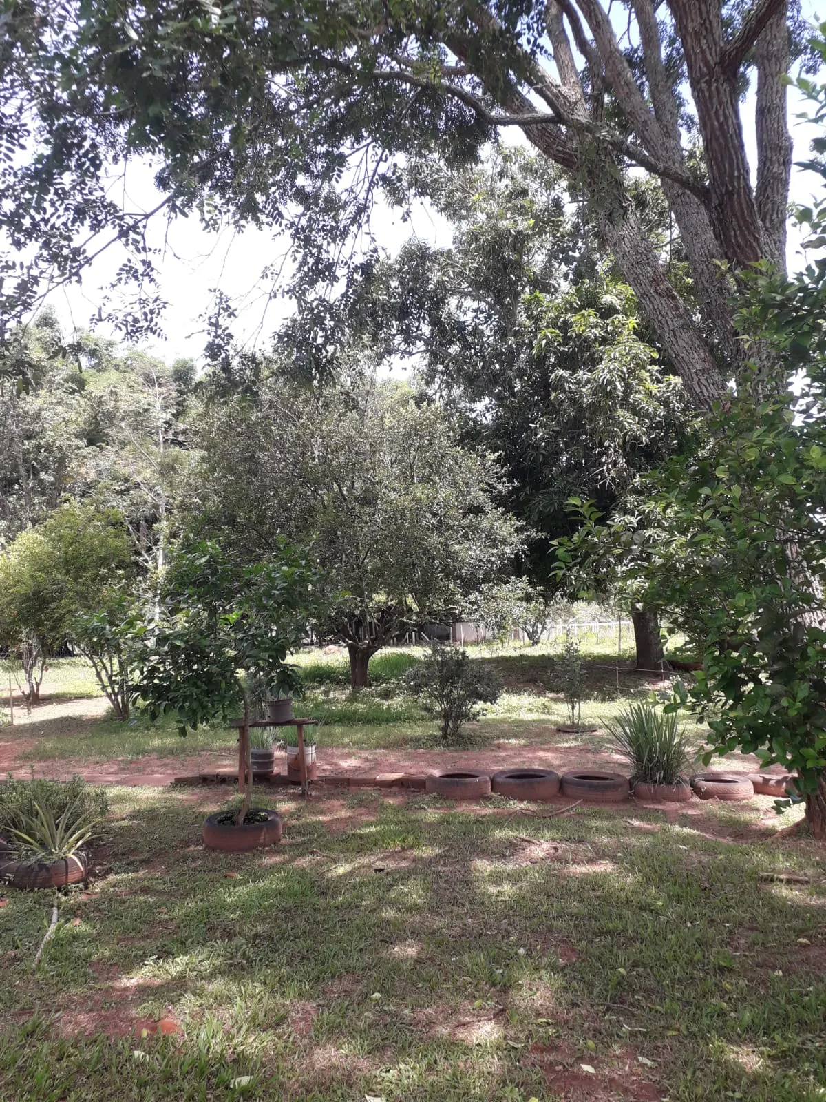 Sítio à venda de 3 ha em Uberlândia, MG, Brasil
