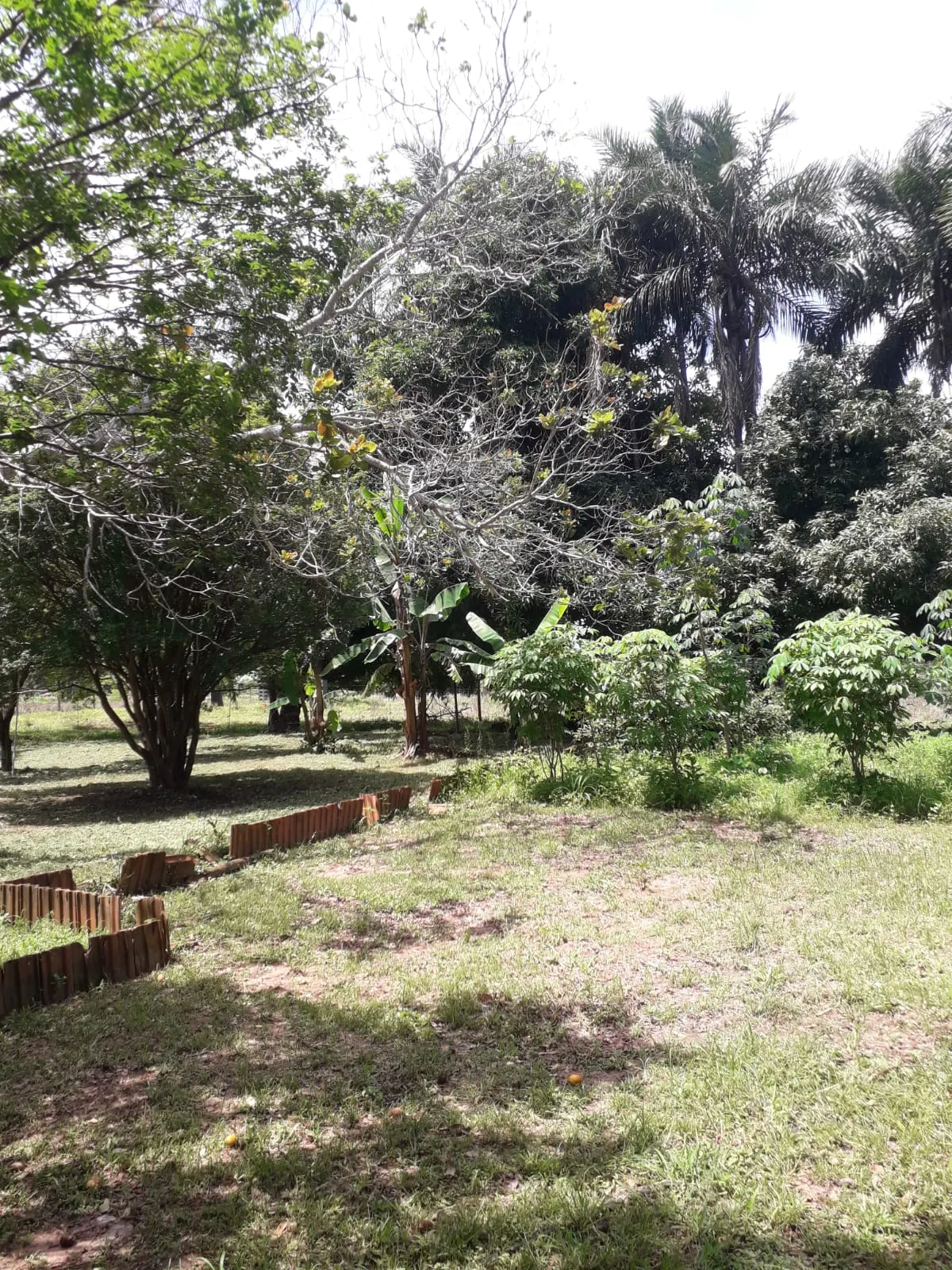 Sítio à venda de 3 ha em Uberlândia, MG, Brasil