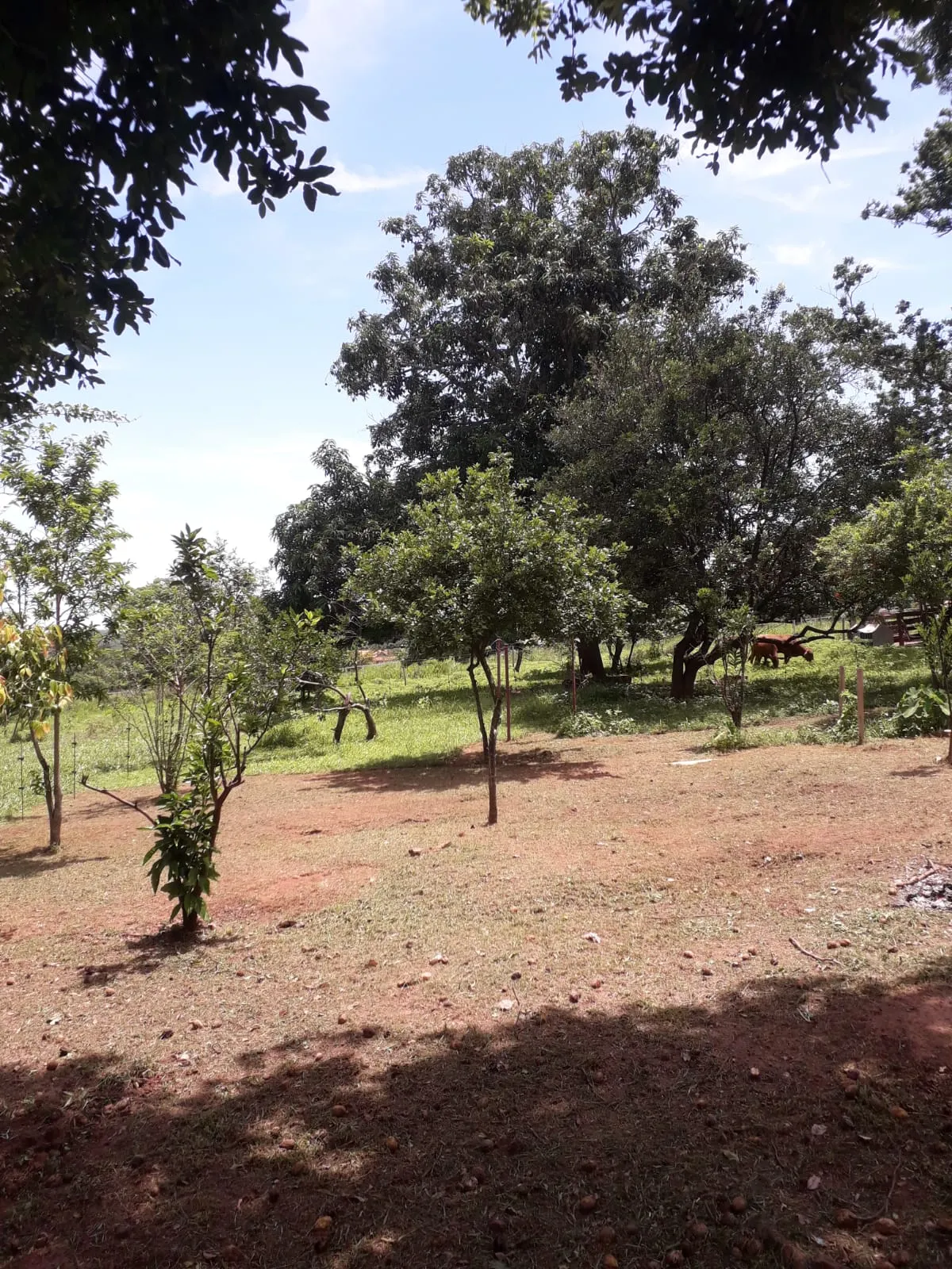 Sítio à venda de 3 ha em Uberlândia, MG, Brasil