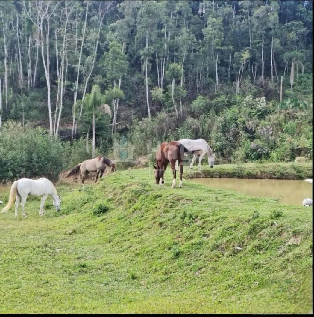 Fazenda à venda de 15 ha em Alfredo Wagner, SC, Brasil
