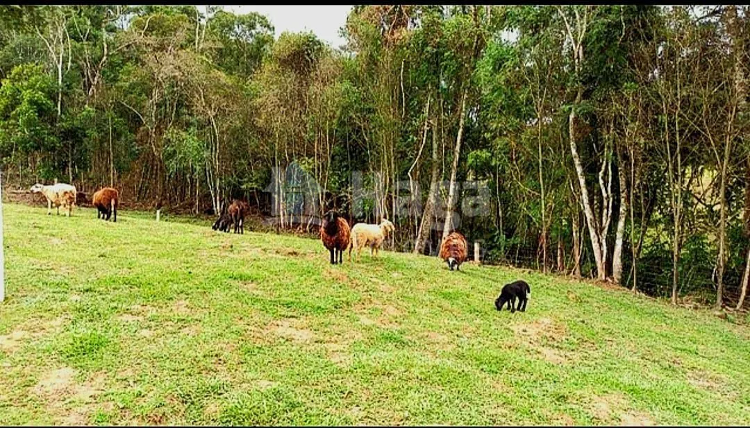 Fazenda à venda de 15 ha em Alfredo Wagner, SC, Brasil