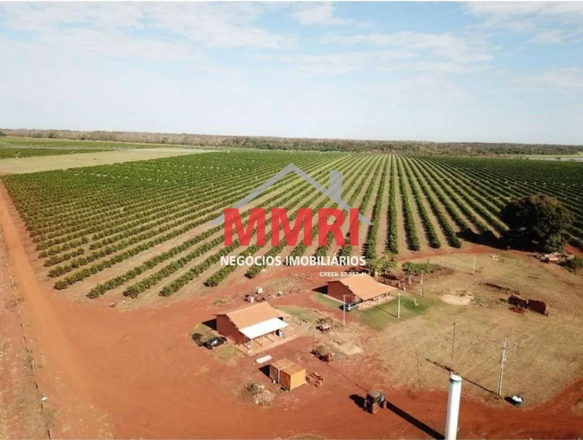 Fazenda à venda de 158 ha em Votuporanga, SP, Brasil