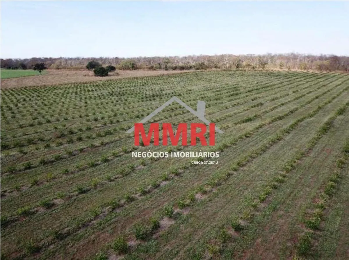 Fazenda à venda de 158 ha em Votuporanga, SP, Brasil
