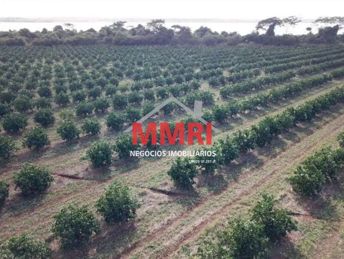 Fazenda à venda de 158 ha em Votuporanga, SP, Brasil