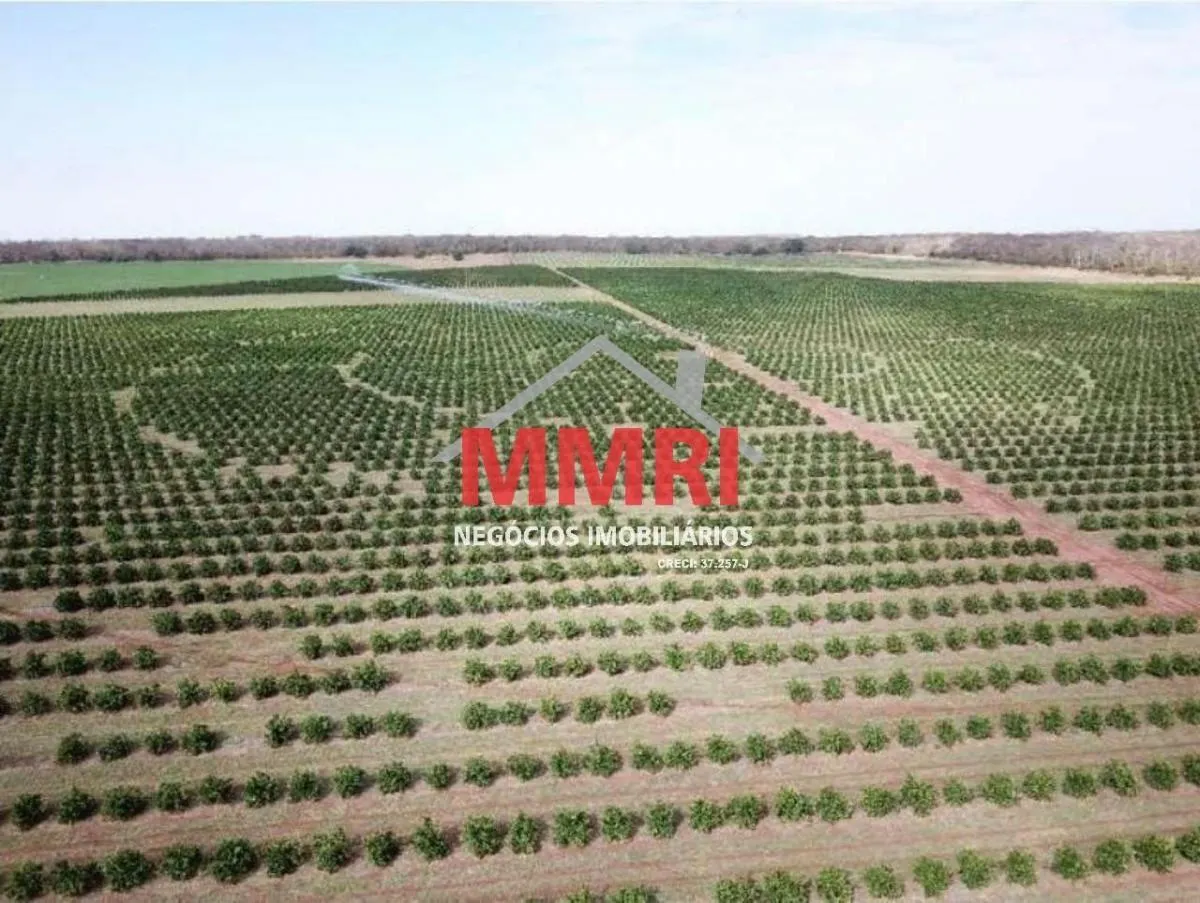 Fazenda à venda de 158 ha em Votuporanga, SP, Brasil